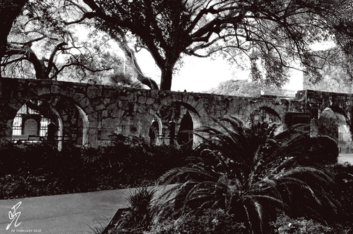 2020 (The Alamo, San Antonio, TX)